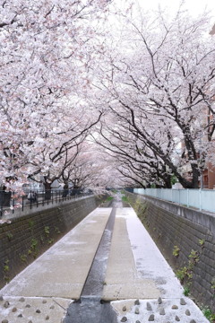 DSCF0215