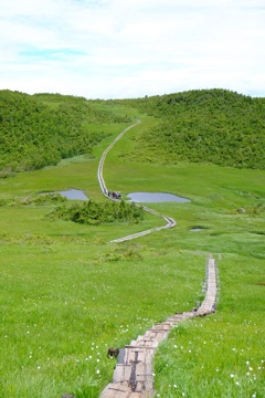 尾瀬