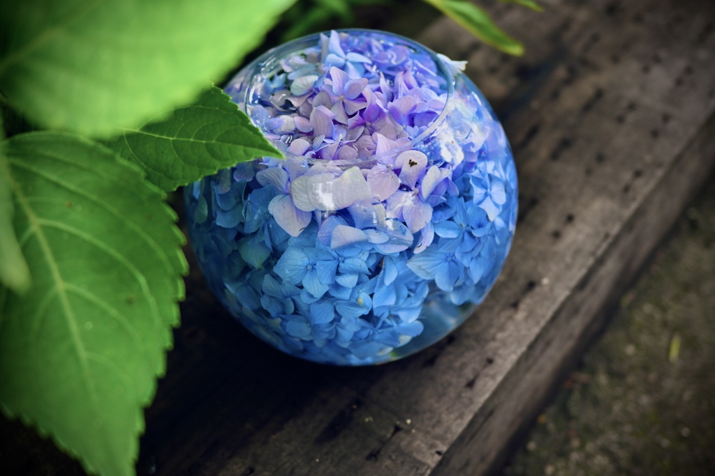 紫陽花硝子玉
