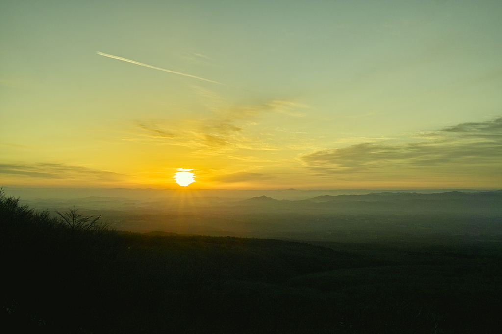 SDIM0195
