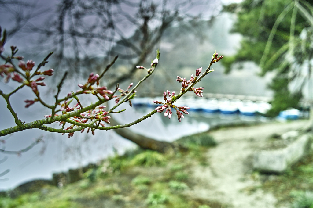 SDIM0362
