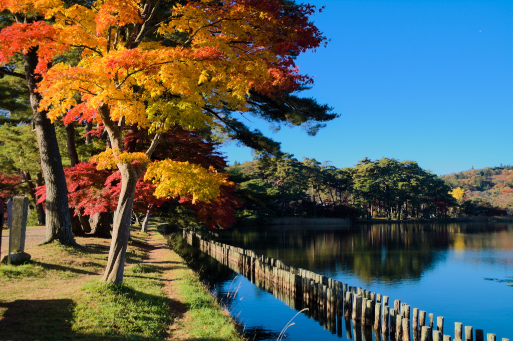 紅葉の南湖２