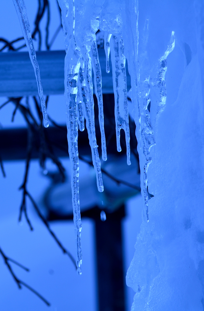 氷の世界