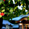 成海神社