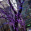 illumination