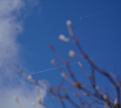 青空と飛行機雲