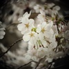 ぐるぐる世界。その3