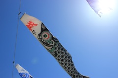 はたはた日和