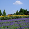世羅高原農場