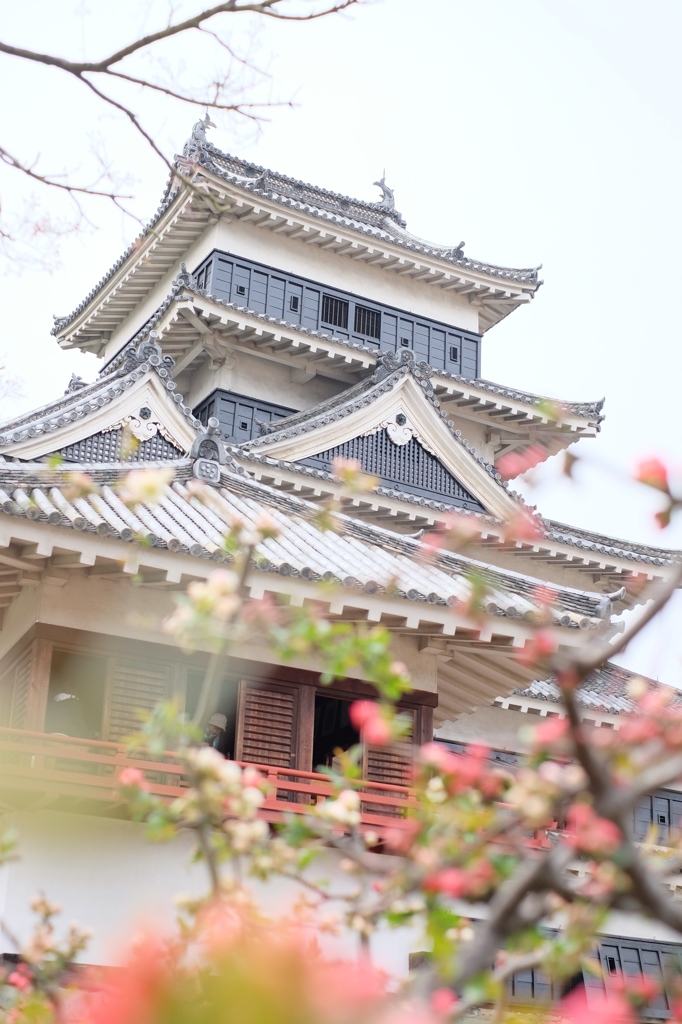 松本城