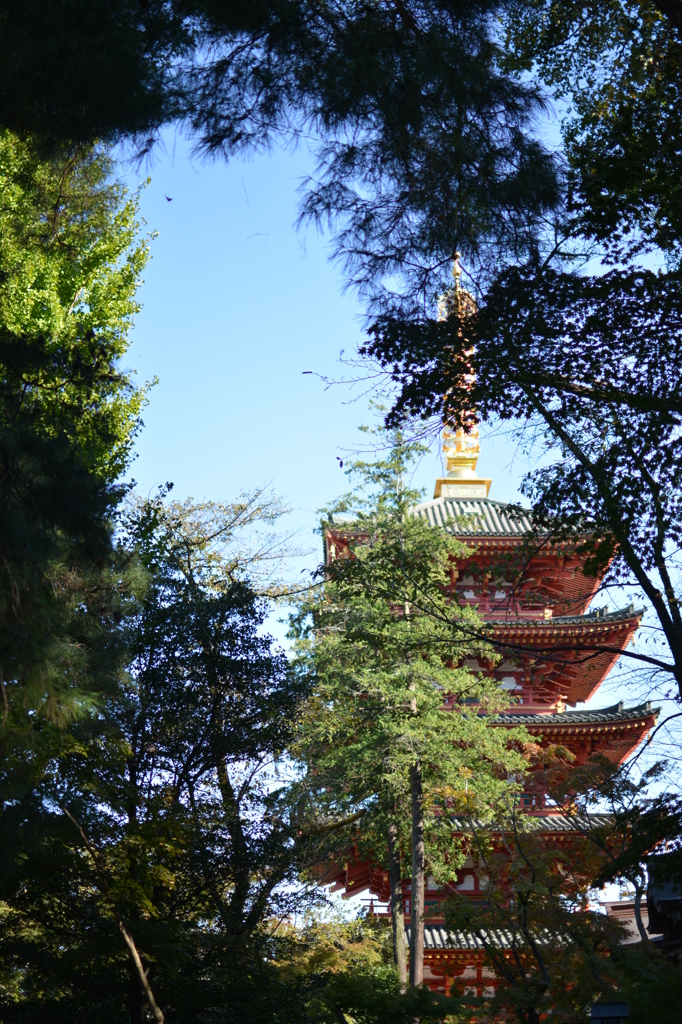 初秋の高幡不動尊