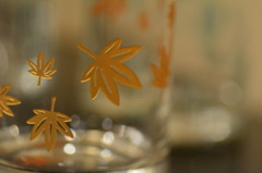 glass of Autumn