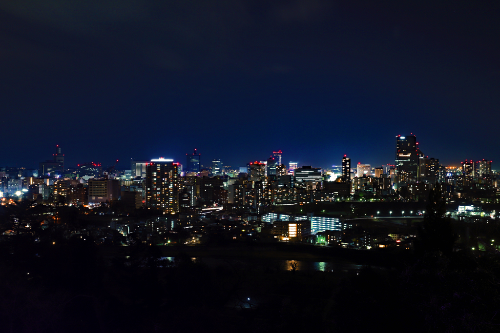 杜の都の夜景