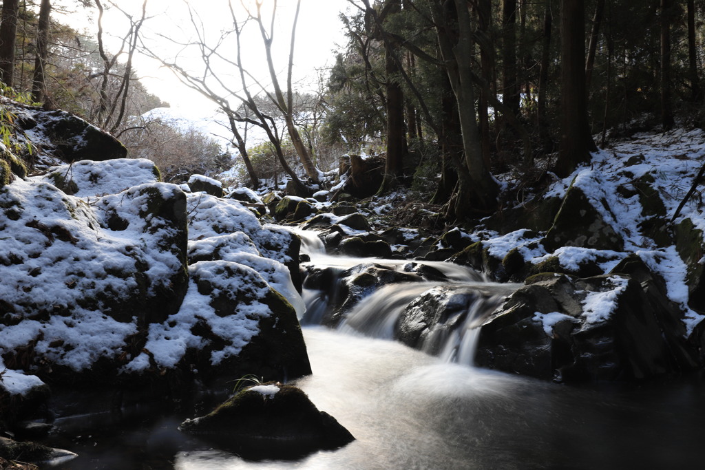 雪化粧