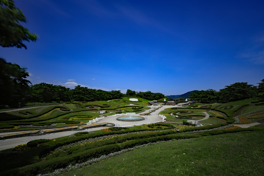 新緑の公園