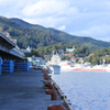 気仙沼 魚市場