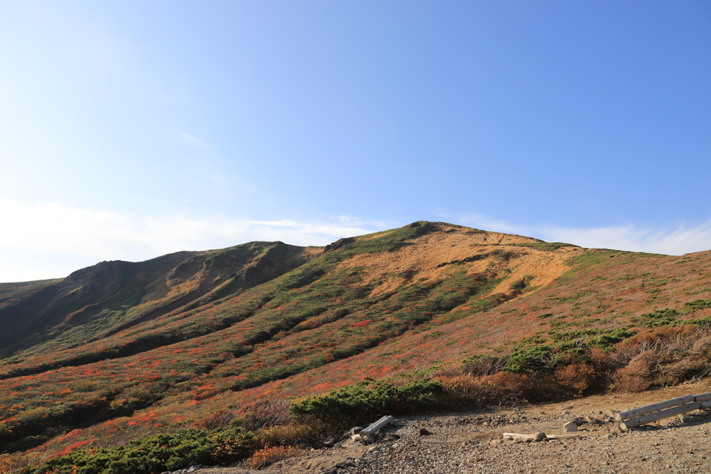 栗駒山 紅葉１