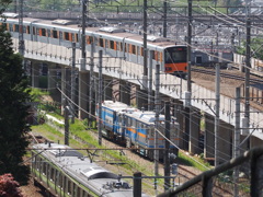 電車