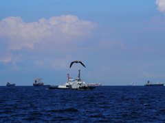 海空鳥船