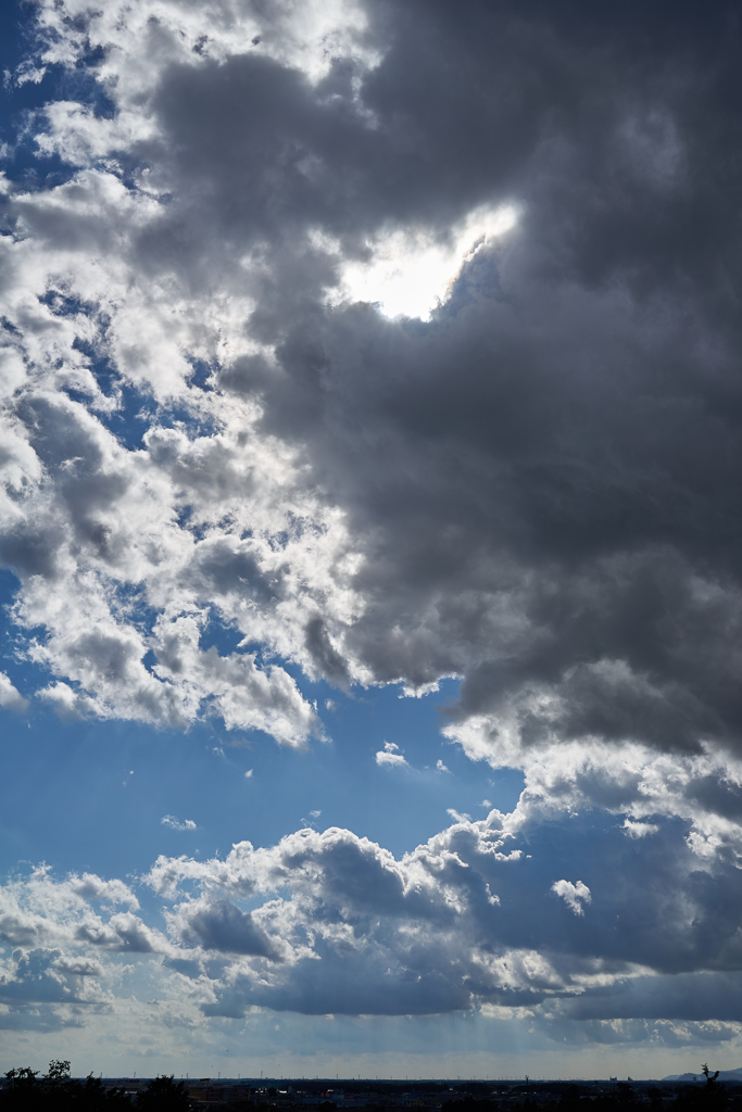雲がいい感じだったのでつい、縦位置