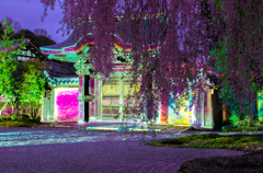 マッピング　高台寺