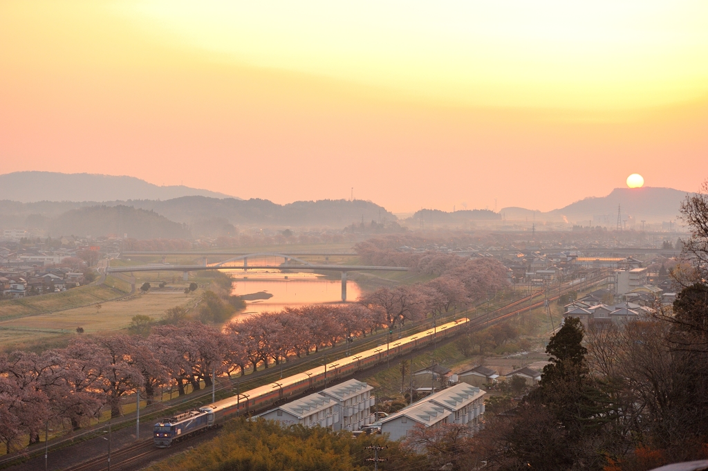 日の出と桜の風景