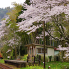 春の鉄道原風景