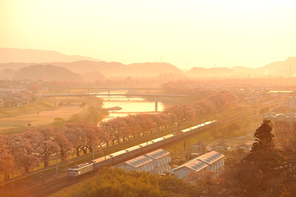 日の出と桜の風景②