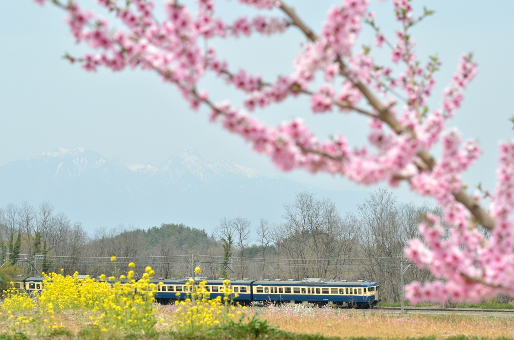 桃と菜の花