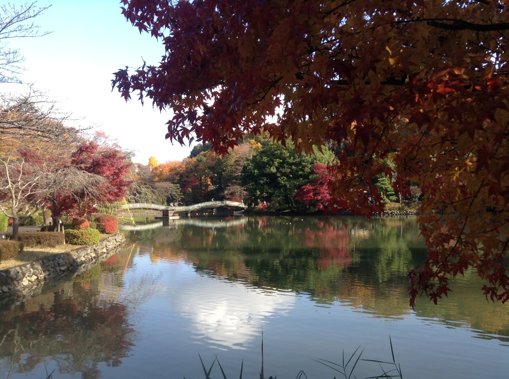薬師池　紅葉