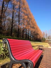 朝の公園