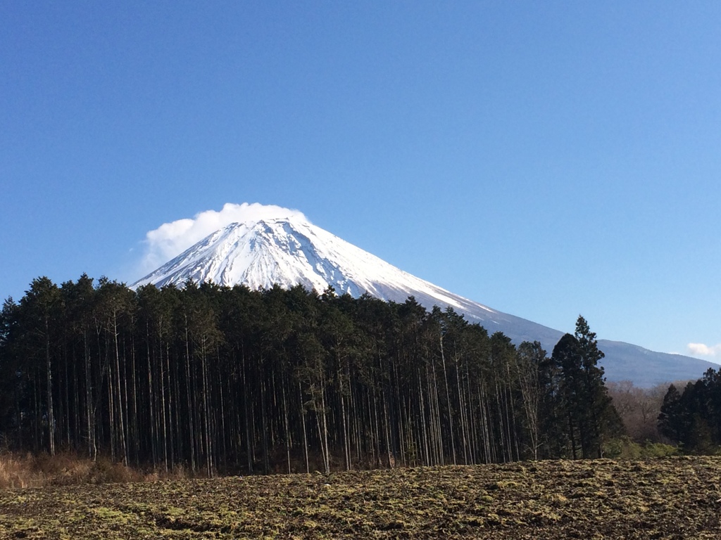  富士山