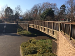朝の公園