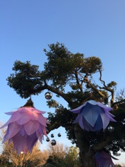 江ノ島　20150211
