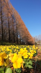 朝の公園
