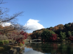 薬師池　紅葉