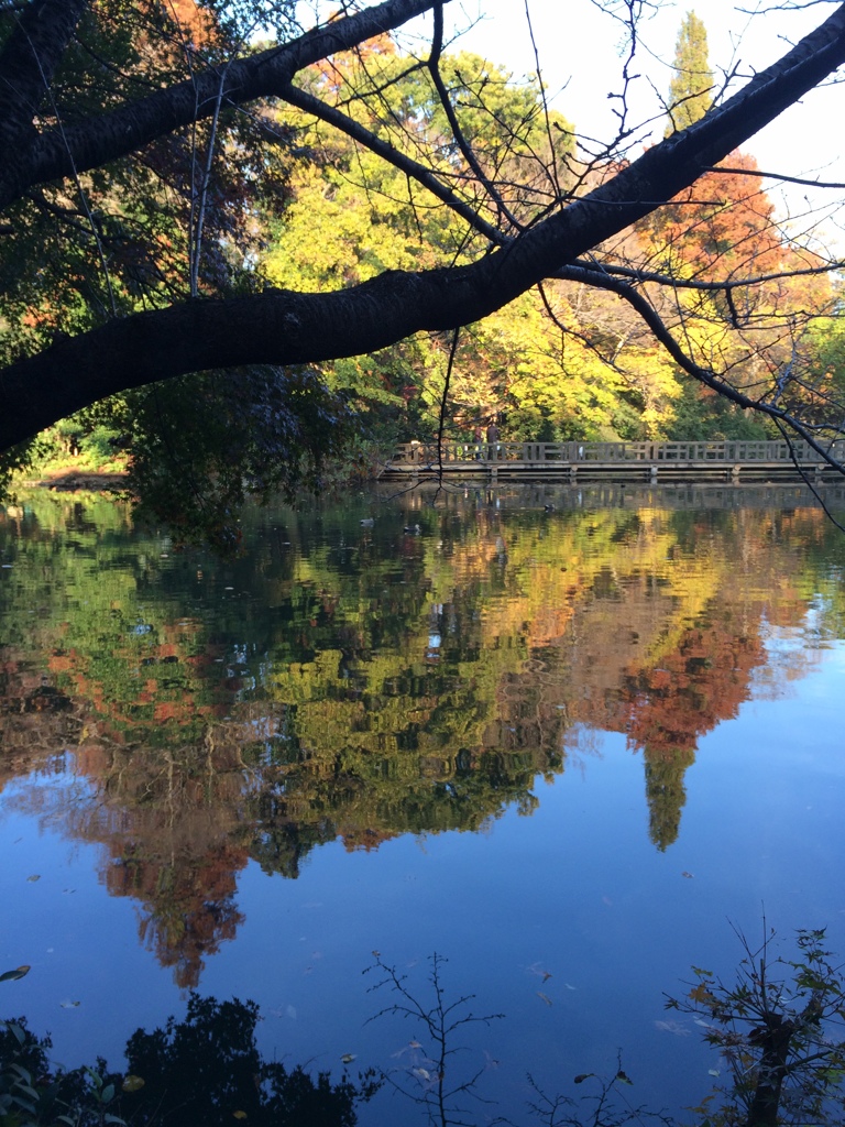 井の頭恩賜公園