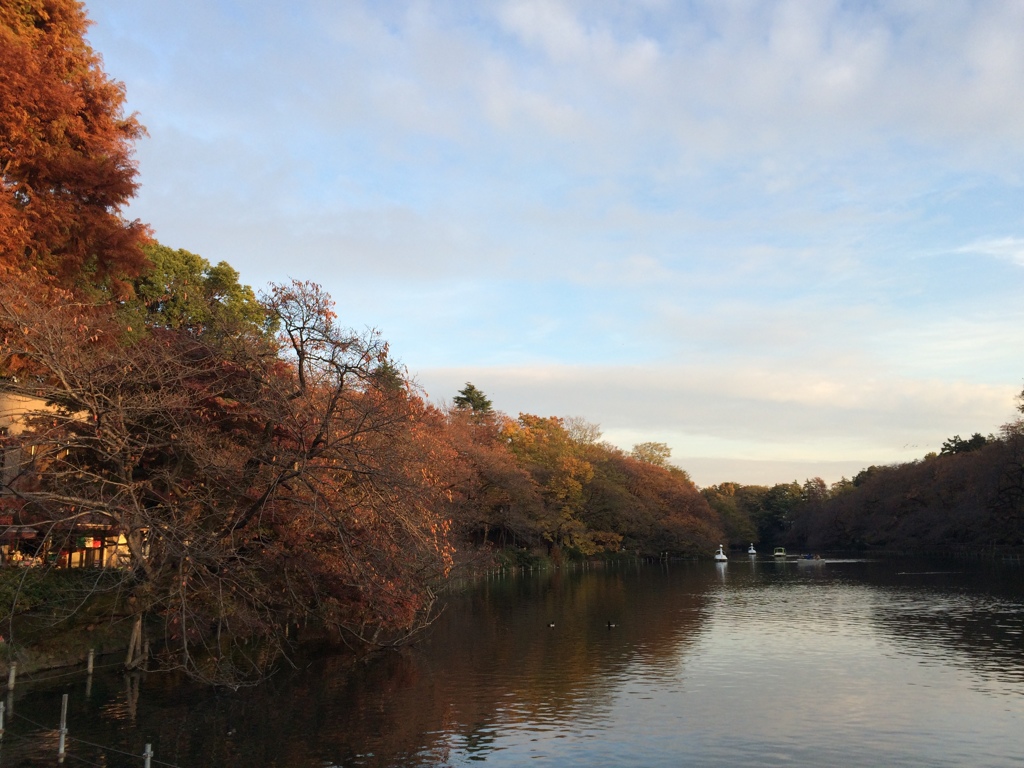 井の頭恩賜公園
