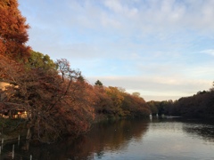 井の頭恩賜公園