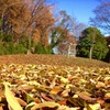 秋の薬師池公園