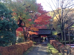 薬師池　紅葉