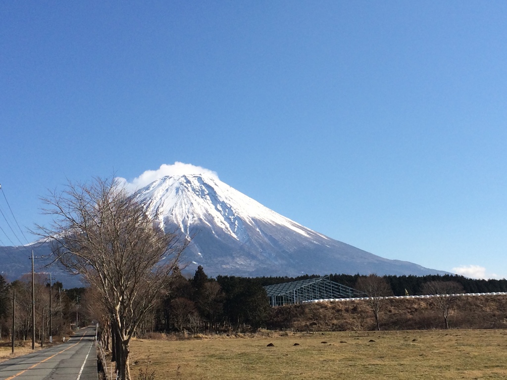  富士山