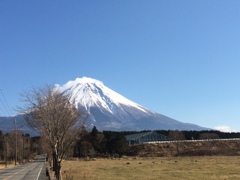  富士山