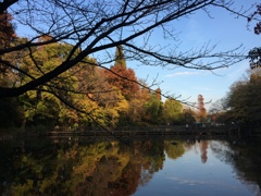井の頭恩賜公園