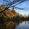 井の頭恩賜公園