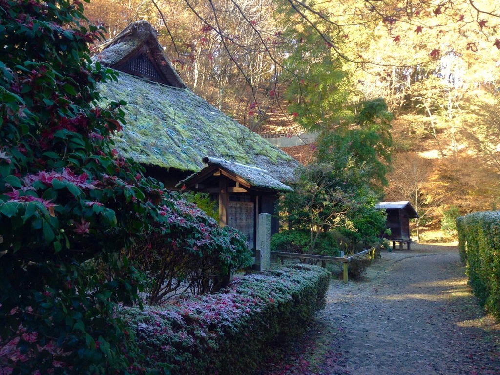 秋の薬師池公園
