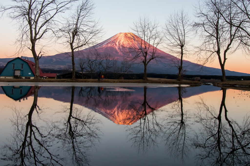 懲りずに...