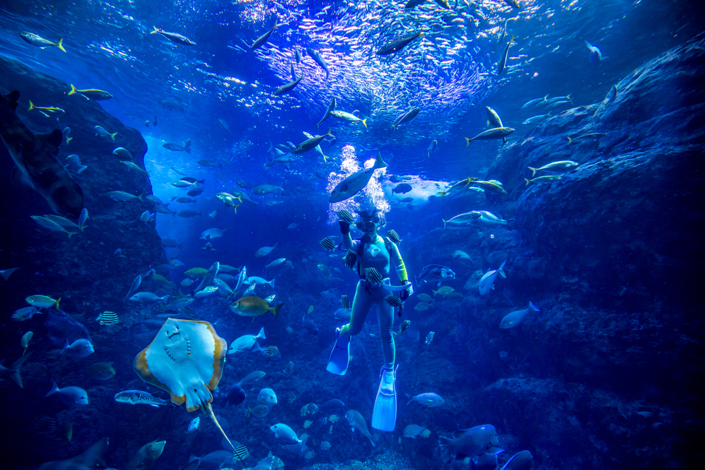 新江ノ島水族館