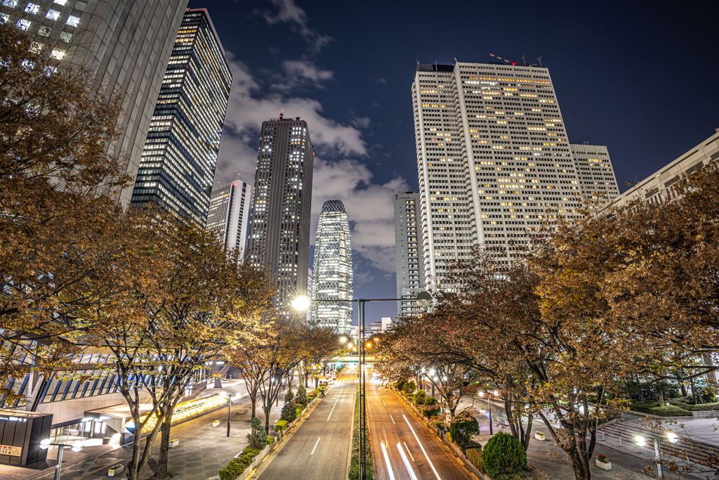 新宿夜景