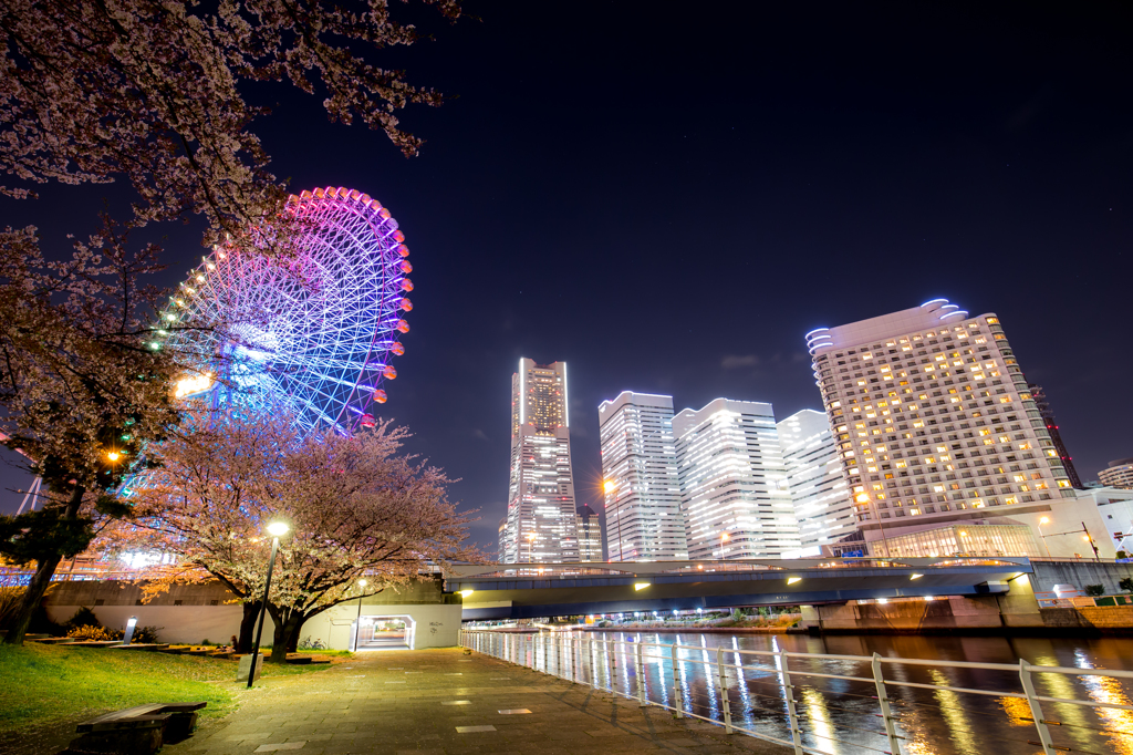 横浜夜景3